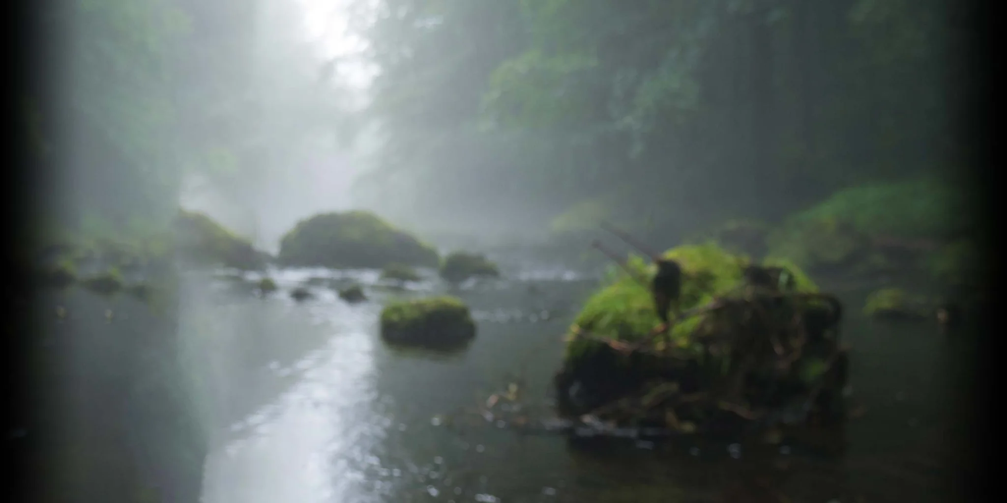 zen brook background photo